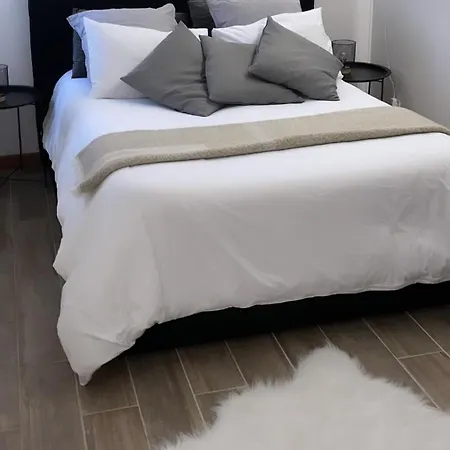 Elegant T2 - Parking -aeroport-airbus- Meett Apartment Blagnac
